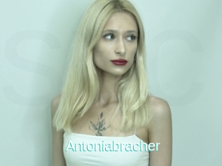 Antoniabracher