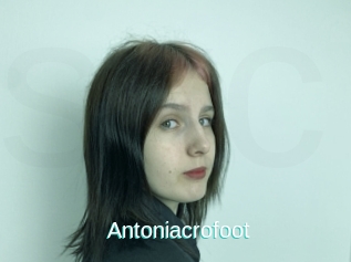 Antoniacrofoot