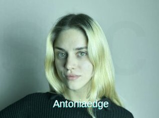 Antoniaedge