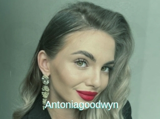 Antoniagoodwyn