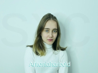 Antoniaharbold