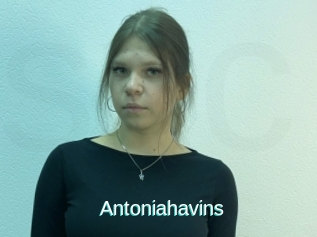 Antoniahavins