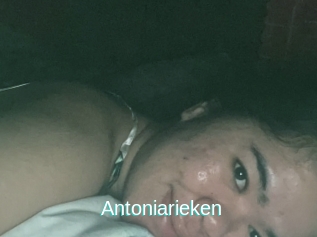 Antoniarieken