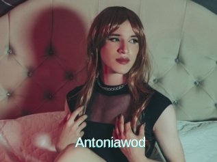 Antoniawod
