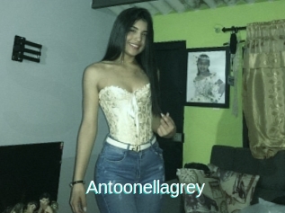 Antoonellagrey