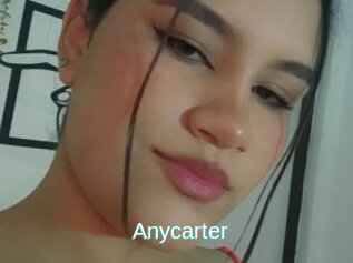 Anycarter