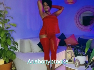 Ariebonybrooke