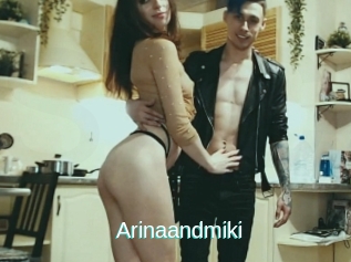 Arinaandmiki