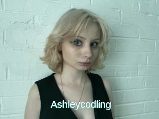 Ashleycodling