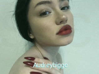 Audreybigge