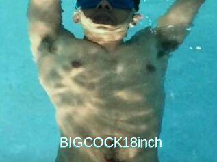 BIGCOCK18inch