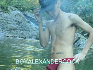 BOYALEXANDERCOCK