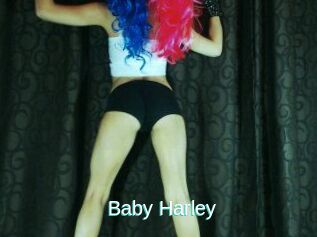Baby_Harley