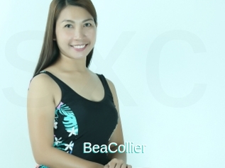 BeaCollier