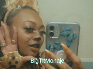 BigTitMonaje