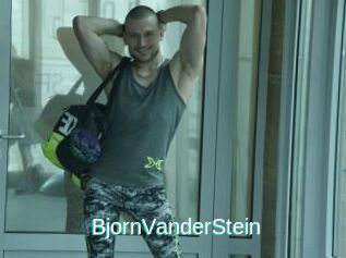 BjornVanderStein