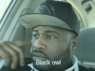 Black_owl