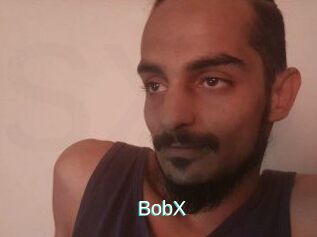 BobX