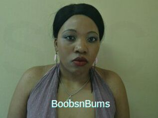 BoobsnBums