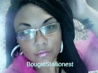 BougieStallionest