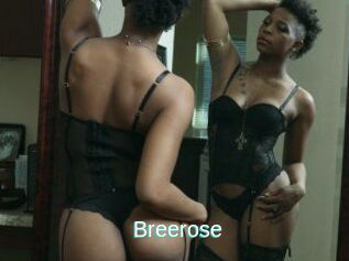 Breerose