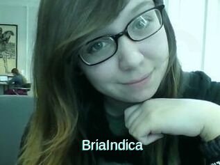 BriaIndica