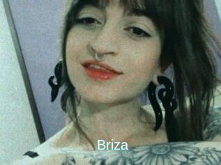 Briza