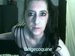 Belgecoquine