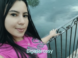 Bigassrossy