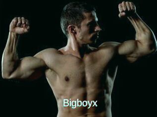 Bigboyx