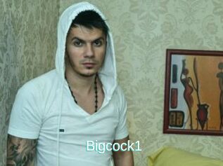 Bigcock1