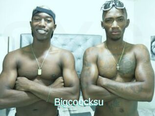 Bigcoocksu