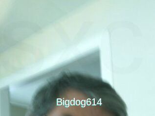 Bigdog614