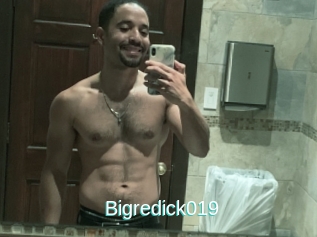 Bigredick019
