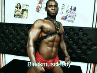 Blackmuscleboy