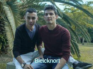 Bleicknort