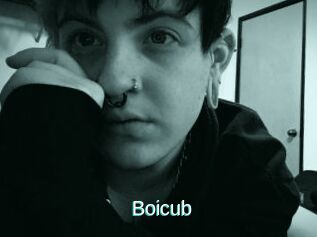 Boicub