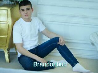 Brandonbud