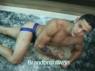 Brandonsullivan