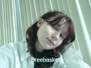 Breebaskett