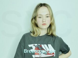 Breecoppedge