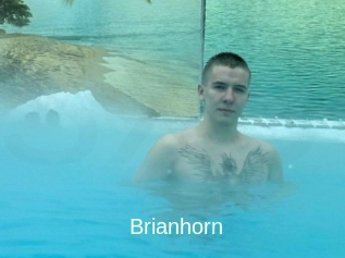 Brianhorn