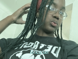 Bricarter