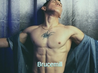 Brucemill