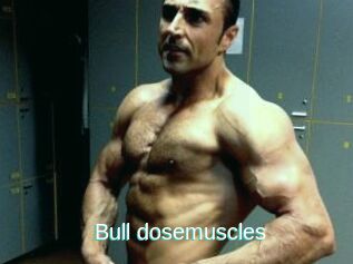 Bull_dosemuscles