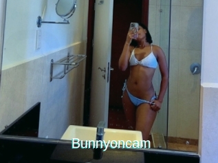 Bunnyoncam