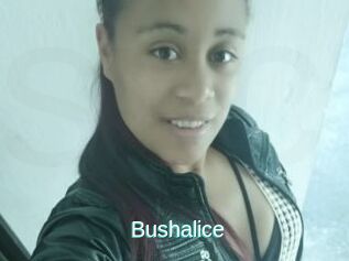Bushalice