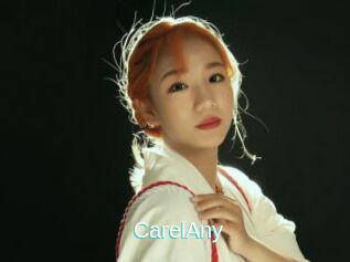 CarelAny