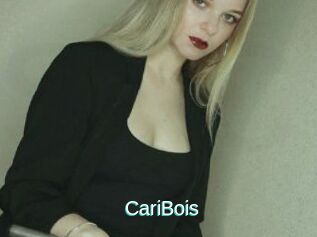 CariBois