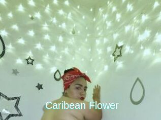 Caribean_Flower